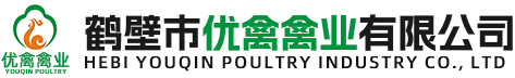 青年鸡价格